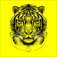 Sherkan Conseil logo - Similar company to Pyramyd Editions