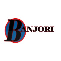 Banjori Consulting logo - Similar company to Premier Consulting Partners