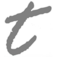 Trawöger Transport GmbH logo - Similar company to Ederit.Com