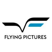 Flying Pictures logo - Similar company to Romvesen