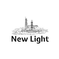 New Light Pte Ltd logo - Similar company to Vision Financial Group