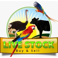 Livestock Traders (SMC-Private) Limited logo - Similar company to Livestock Technology Indonesia