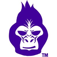 Paragon28 Northeast logo - Similar company to Dynamic Surgical Solutions - Representing Paragon28