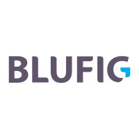 Blufig logo - Similar company to Cm Agency