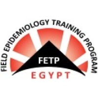Egypt FETP logo - Similar company to Stats4Doctors الإحصاء للأطباء-Consulting Agency
