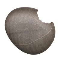 Dental Gallery logo - Similar company to A2 Lab