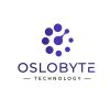 OsloByte Technologies logo - Similar company to Ansur Technologies