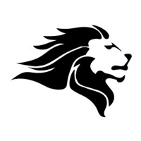 Roar Pursuits CIC logo - Similar company to Community Options