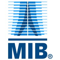 MIB ITALIANA SPA logo - Similar company to Welded Pipe Industries Srl