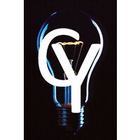 CyberAssist logo - Similar company to Cognentai