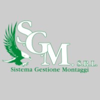 SGM srl logo - Similar company to Monfas Srl