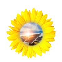 Rinova Solar logo - Similar company to Sunfinity Renewables Pvt Ltd