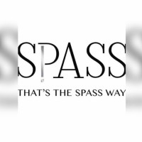 Spass Group Erbil logo - Similar company to Spass Group
