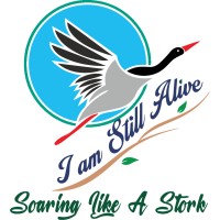 I am Still Alive logo - Similar company to Hireskill