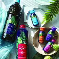 Noni by New Age logo - Similar company to Noni’S Computer Store