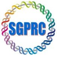 SANGAM GLOBAL REGULATORY CONSULTANCY logo - Similar company to Kkkd & Co.