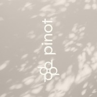 pinot.group logo - Similar company to Evers Group