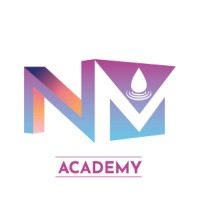 Nano Mineralen Academy logo - Similar company to Cheesie