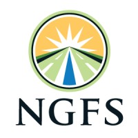 NGFS | Energy Infrastructure logo - Similar company to Platinum Natural Gas Solutions