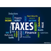 NZ Tax Solutions LLC logo - Similar company to Nz & Associates