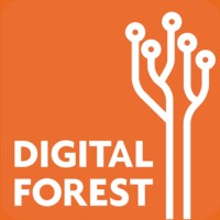 DIGITAL FOREST logo - Similar company to Digital Forest