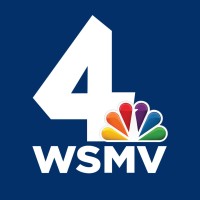 WSMV logo - Similar company to Pineapple Sundays Design Studio