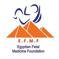 Egyptian Fetal Medicine Foundation logo - Similar company to Egyptian Fetal Medicine Foundation