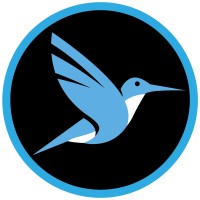 Blue Birds Digital logo - Similar company to Bluebird Technologies