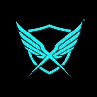 RayvenX logo - Similar company to Grantbii