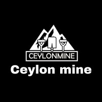 Ceylon mine logo - Similar company to Chronotix