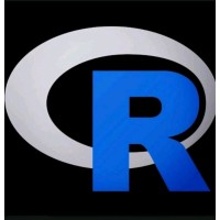 The Roger's Consulting - Consultoria Empresarial logo - Similar company to Frenchcamp.Fr