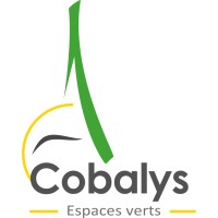 COBALYS logo - Similar company to Salonvert