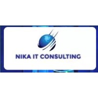 NIKA IT Consulting  LLC logo - Similar company to Nika It Solutions