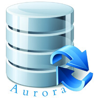 Aurora Information Technology Services Company logo - Similar company to Digital China Information Technology Services Company Limited