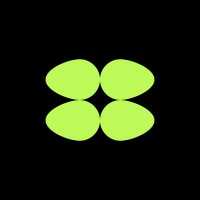 Jungle Team logo - Similar company to Afrocast