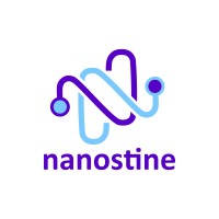 Nanostine logo - Similar company to Eye4Sky