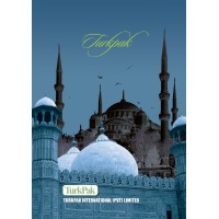 TurkPak International Private Limited logo - Similar company to Za Design Studio