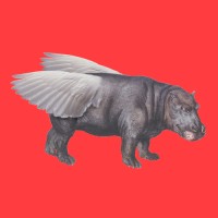 Flying Hippo Brand + Digital logo - Similar company to Juicebox