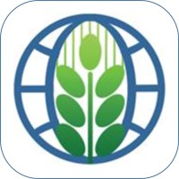 FasnaGlobal logo - Similar company to Consultiquo