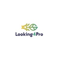 Looking 4 Pro logo - Similar company to Frem