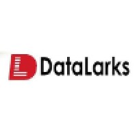 Data Larks