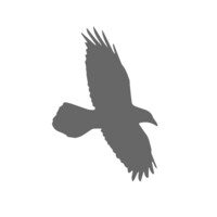 RAVEN5 logo - Similar company to Sweeppea
