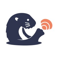 Digital Otter logo - Similar company to Brandavinci