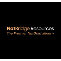 NatBridge Resources logo - Similar company to Xrapplied Technologies Inc.