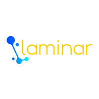 Laminar Consulting Services Inc. logo - Similar company to Laminar Business And It Solutions