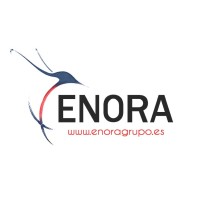 ENORA SERVICIOS LOGISTICOS,S.L. logo - Similar company to Logística Y Transportes Pecor
