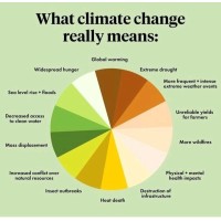 BBL GROUP logo - Similar company to Fruitful Global