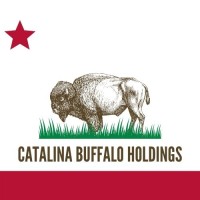Catalina Buffalo Holdings logo - Similar company to Id Lab Global