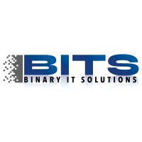 Binary IT Solutions LLC logo - Similar company to Runwell Solutions