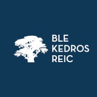 Ble Kedros Real Estate Investment Company logo - Similar company to Hudvy